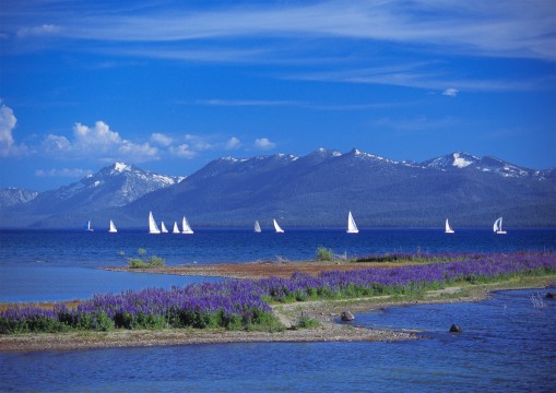 Beer Can Races, Lake Tahoe